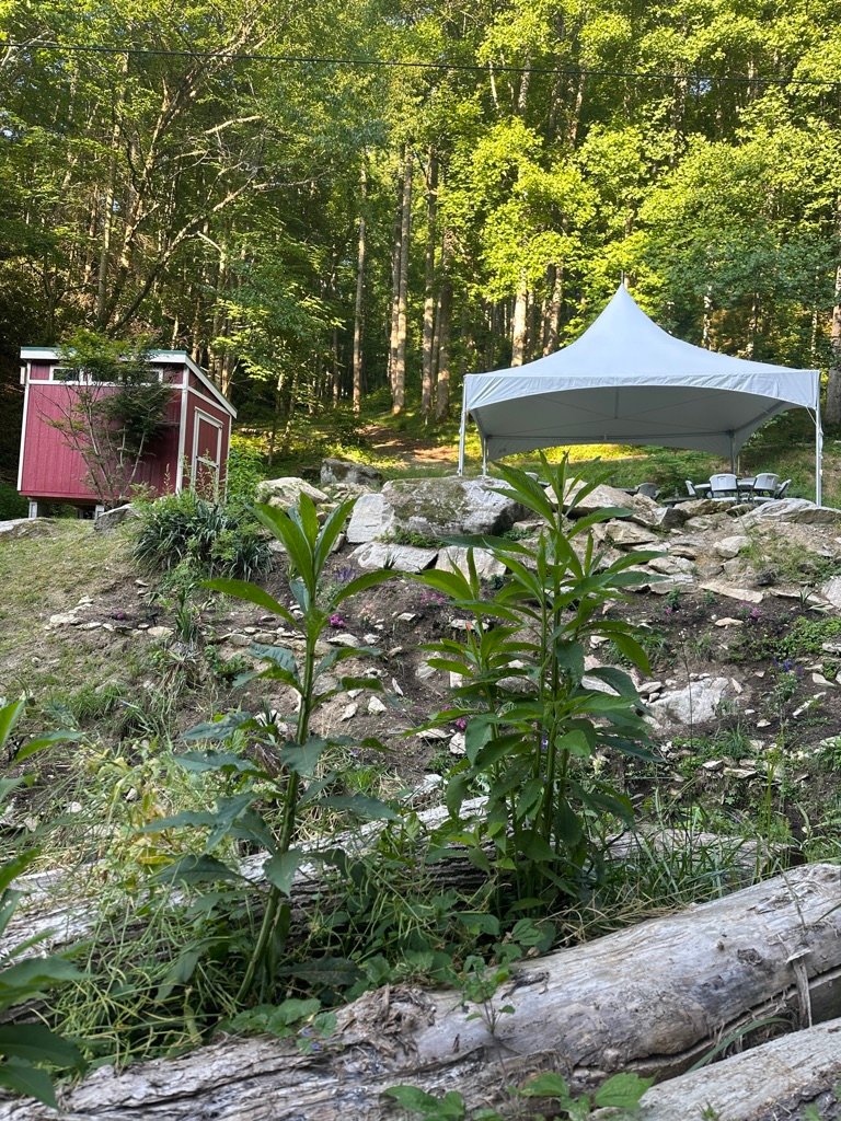 wedding tent hot springs