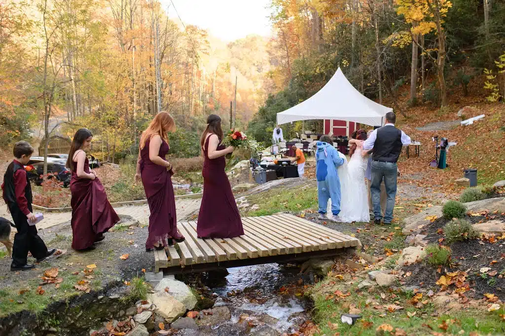 20 person wedding cost guests