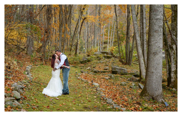 waterfall weddings nc