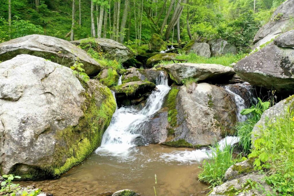 Waterfall and woodland ceremony setting at Weddings Over Waterfalls featuring stone-lined creek edges and lush green landscape.