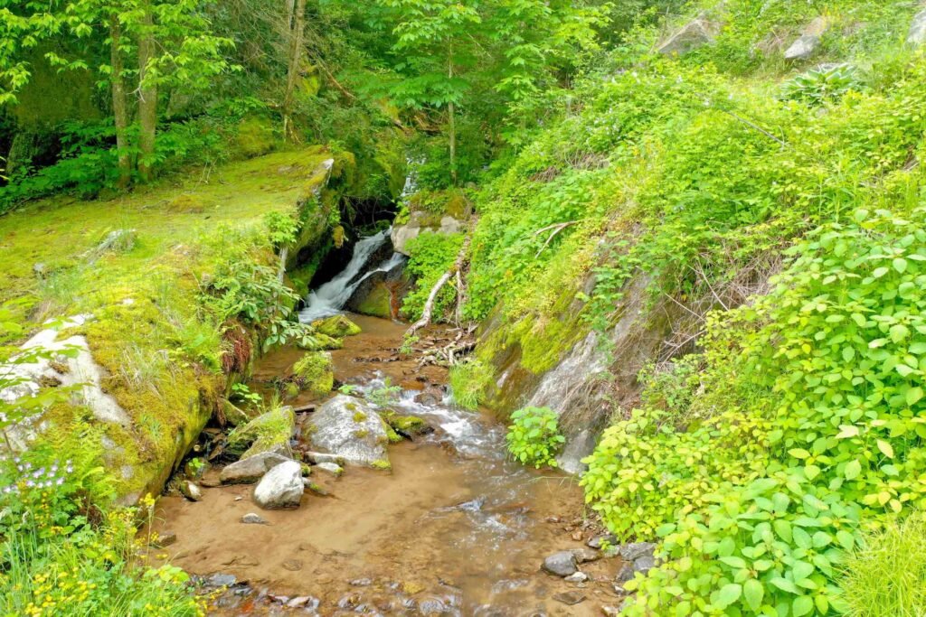 Natural waterfall backdrop at Weddings Over Waterfalls in Hot Springs, North Carolina with mossy rocks, boulders, and forest scenery.