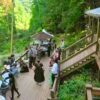 Small Wedding Venues in Asheville nc