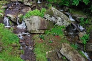 small waterfall wedding venues in nc