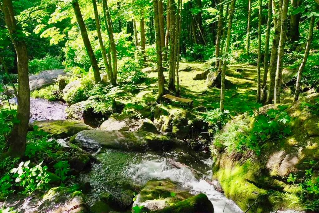 drone unicorn looking down