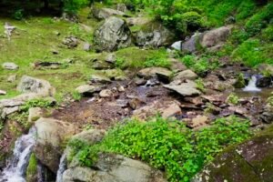 waterfall elopements in nc